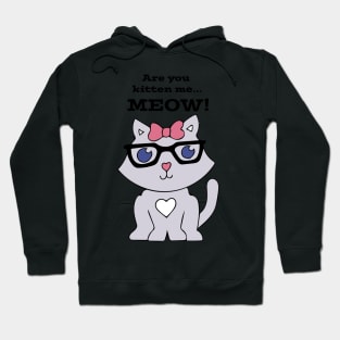 Sassy Cat with Glasses Hoodie